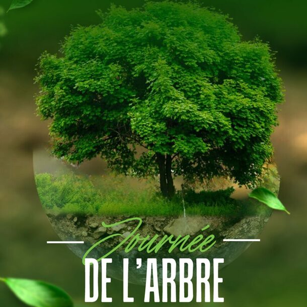 Journée de l'arbre